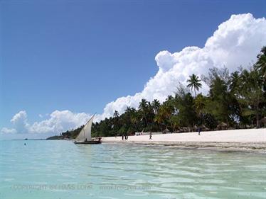 Beach walk, Zanzibar, DSC07762b